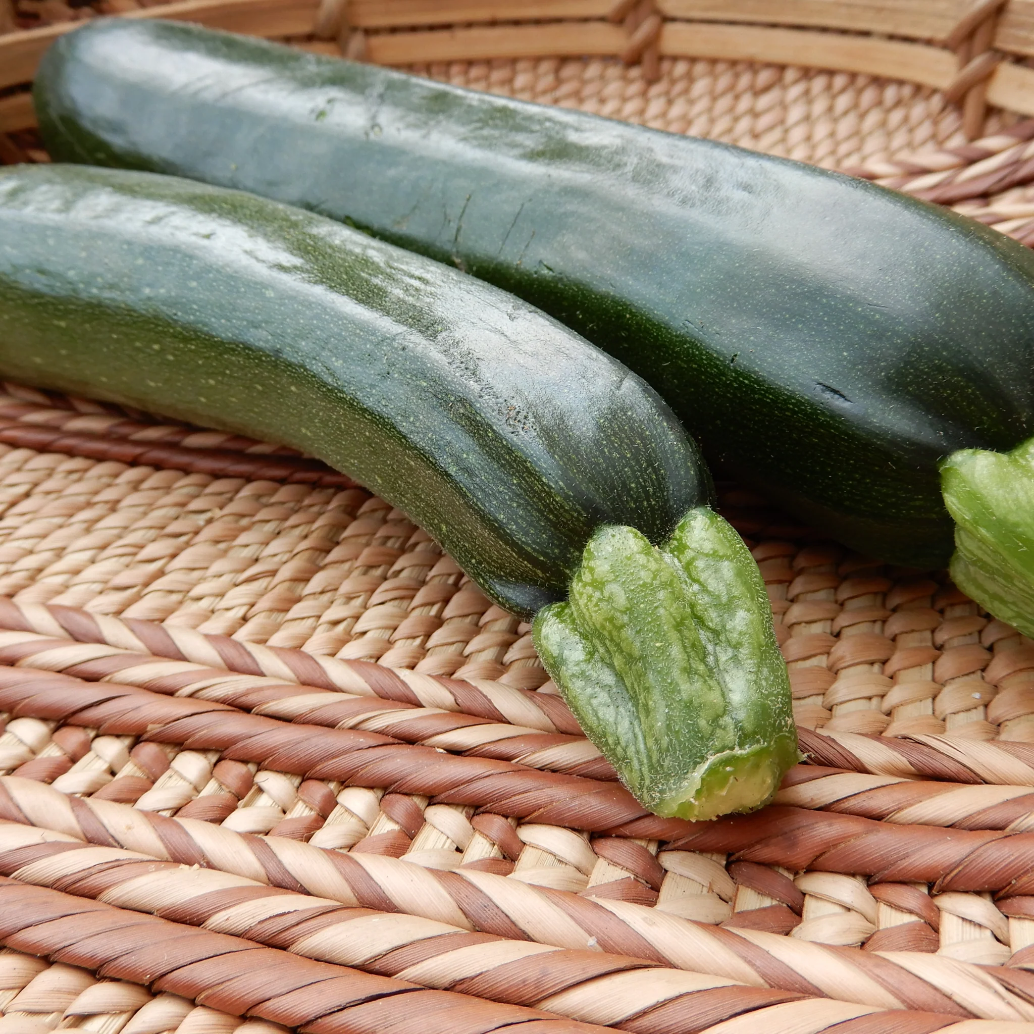 Courgette 'Dark Star' - Image 3