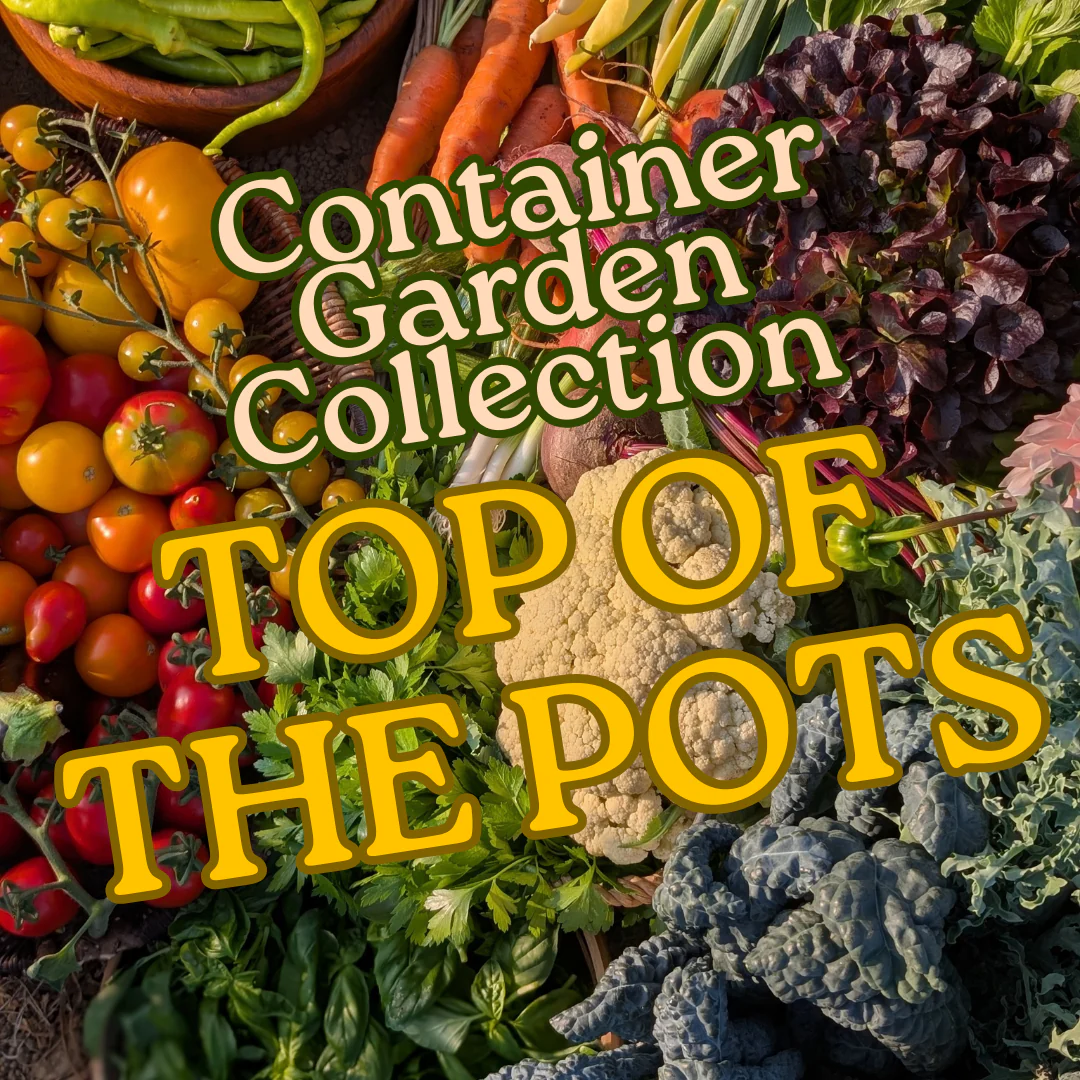 Top of the Pots Gift Collection | Container Garden Seeds | Heirloom Eco-friendly Present