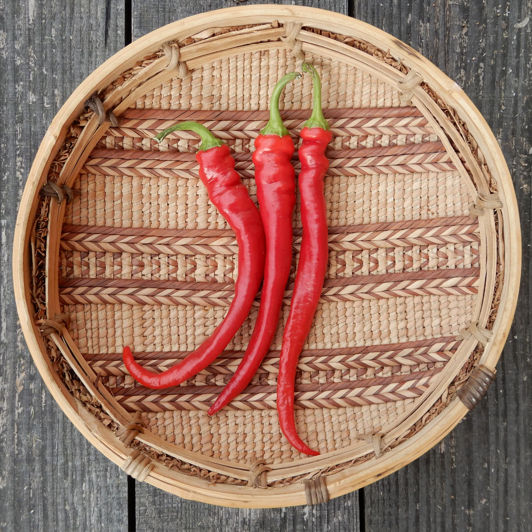 Sweet Pepper 'Turkish Delight' - Image 4