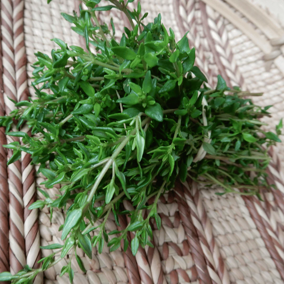 Thyme - Image 3